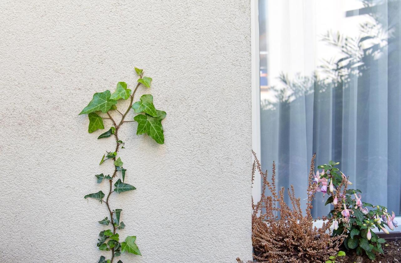 Green Oasis Apartment Wien Exterior foto